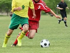 绿军双星闪,终结湖人连,詹姆斯,开云,KaiYun,开云官网,开云体育官网,开云体育下载,开云APP