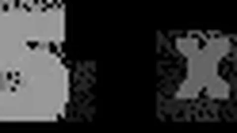 伊万发布会结束停留，沙特主帅送别方才离开。